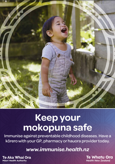 Keep your mokopuna safe poster - NIP8708