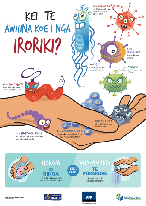 Are you giving germs a hand? - te reo Māori version - HE2554