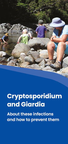 Image of the cover of the brochure 