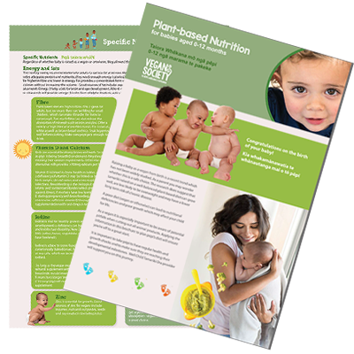 Plant-based nutrition for babies aged 0-12 months - Taiora Whēkana mō ngā pēpi 0-12 ngā marama te pakeke - HE2901