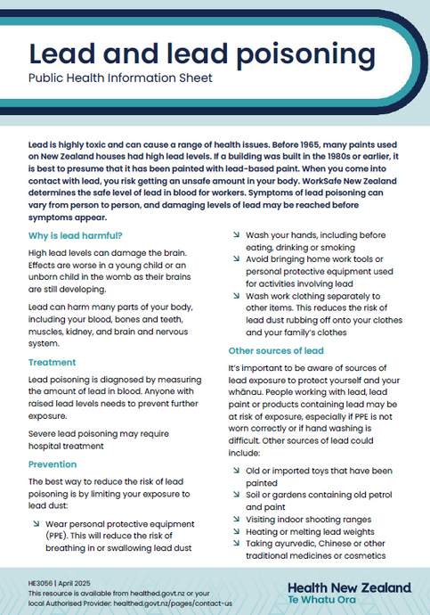 Lead poisoning factsheet - English HE3056