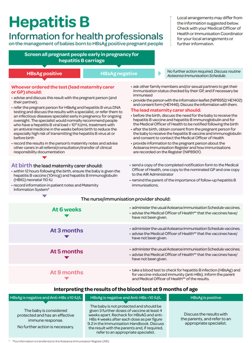Hepatitis B: Information for Health Professionals - NIP8954