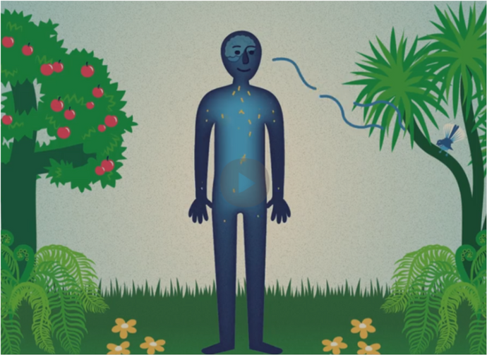 Module 2 - Sensory nervous system
