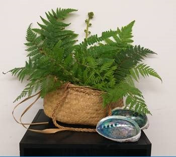 A kete – a flax woven bag - filled with 12 fronds of fern, representing the 12 modules of the programme filling the basket of tools and knowledge about your pain.  
