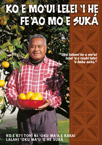 Keeping Well with Diabetes - Tongan version - HE1158