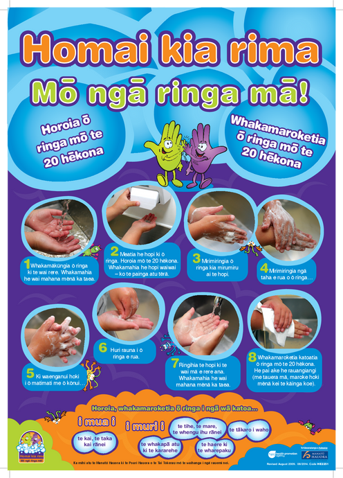High Five for Clean Hands – te reo Māori version - HE2251
